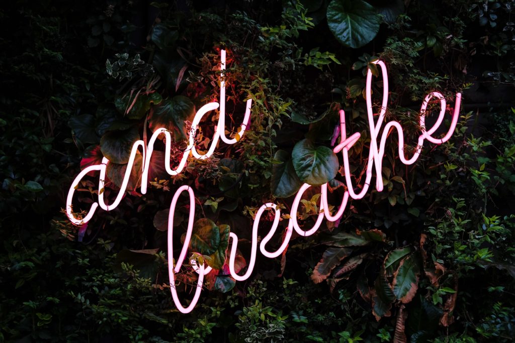 Leaves around a neon pink sign that reads, "and breathe."