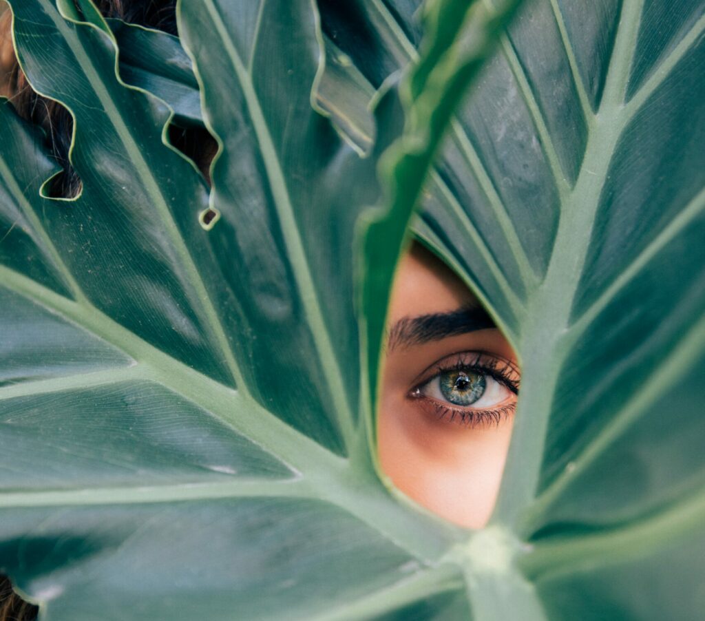 A woman's eye from behind the green fronds of a large plant.